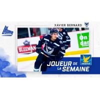 Xavier Bernard of the Sherbrooke Phoenix