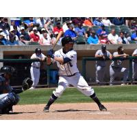 Somerset Patriots infielder Scott Kelly