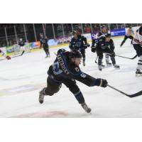 Defenseman Sean Kacerosky with the Quad City Storm