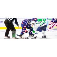 South Carolina Stingrays forward Cameron Askew (left) faces off with the Maine Mariners