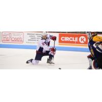 South Carolina Stingrays forward Steve Whitney