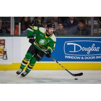 Liam Foudy of the London Knights
