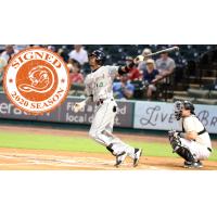 Long Island Ducks outfielder D'Arby Myers