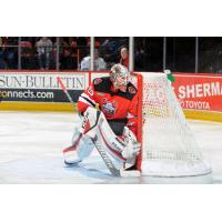 Goaltender Mackenzie Blackwood with the Binghamton Devils