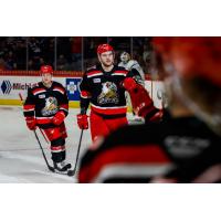 Grand Rapids Griffins along the bench