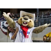 Amarillo Sod Poodles mascot Ruckus