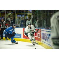 Florida Everblades center Hugo Roy