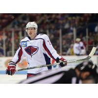 South Carolina Stingrays in action