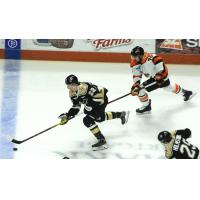 Wheeling Nailers forward Jan Drozg vs. the Fort Wayne Komets