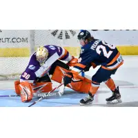 Greenville Swamp Rabbits forward Liam Pecararo vs. the Orlando Solar Bears