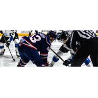 South Carolina Stingrays forward Chris McCarthy faces off with the Idaho Steelheads