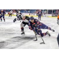 Vancouver Giants defenceman Seth Bafaro (left) against the Kamloops Blazers