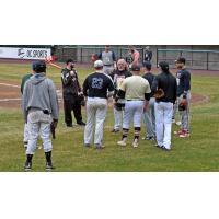 Open Player Tryout at Bethpage Ballpark