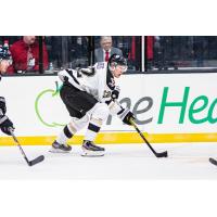 Wheeling Nailers forward Jan Drozg