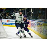 Florida Everblades defenseman Derek Sheppard