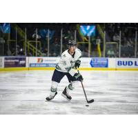 Florida Everblades forward Darik Angeli