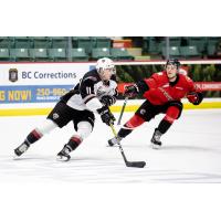 Vancouver Giants right wing Tyler Preziuso vs. the Prince George Cougars