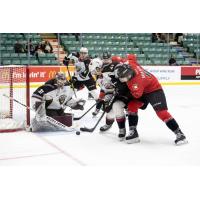 Vancouver Giants goaltender Trent Miner and defenceman Alex Kannok Leipert defend against the Prince George Cougars