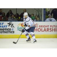 Pensacola Ice Flyers center Brett D'Andrea