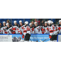 Binghamton Devils dole out congratulations along their bench