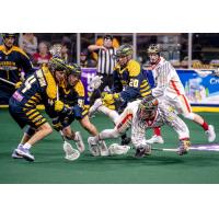 Georgia Swarm and Philadelphia Wings battle for a loose ball
