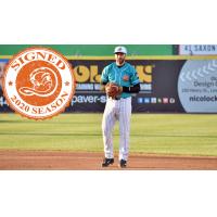 Long Island Ducks infielder Steve Lombardozzi