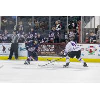 Austin Plevy of the Evansville Thunderbolts