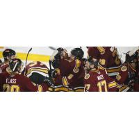 Chicago Wolves celebration