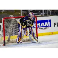 Sioux Falls Stampede goaltender Jaxson Stauber