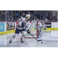 Kamloops Blazers defenseman Max Martin