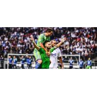 Seattle Sounders FC celebrate during their 2015 Cascadia Cup-clinching victory over Vancouver Whitecaps FC