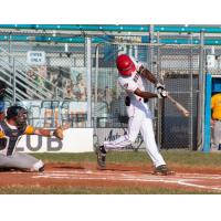 Battle Creek Bombers at bat in the season opener