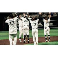 Milwaukee Milkmen celebrate a walk-off win