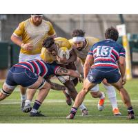 NOLA Gold's Malcolm May in action