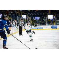 Florida Everblades defenseman Theo Calvas