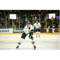 Florida Everblades defenseman Theo Calvas