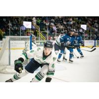 Florida Everblades defenseman Theo Calvas