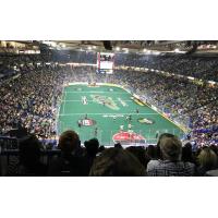 A Saskatchewan Rush game at SaskTel Centre