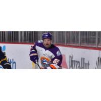 Orlando Solar Bears forward Taylor Cammarata