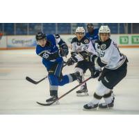 Saint John Sea Dogs centre Josh Lawrence vs. the Charlottetown Islanders