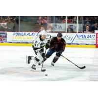 Ontario Reign forward Matt Luff