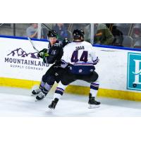 Defenseman Tanner Jago with the Idaho Steelheads