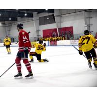 Maryland Black Bears react after a goal against the Johnstown Tomahawks