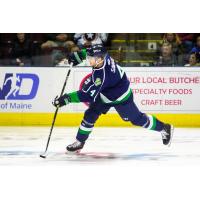Maine Mariners defenseman Scott Savage