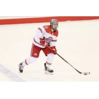 Defenseman Matt Miller with Ohio State