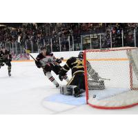 Aberdeen Wings vs. the Bismarck Bobcats