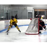 Maryland Black Bears vs. the Danbury Hat Tricks