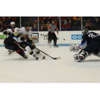 Muskegon Lumberjacks in action