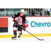 Prince George Cougars forward Filip Koffer
