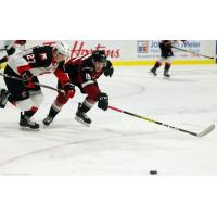 Vancouver Giants forward Krz Plummer
